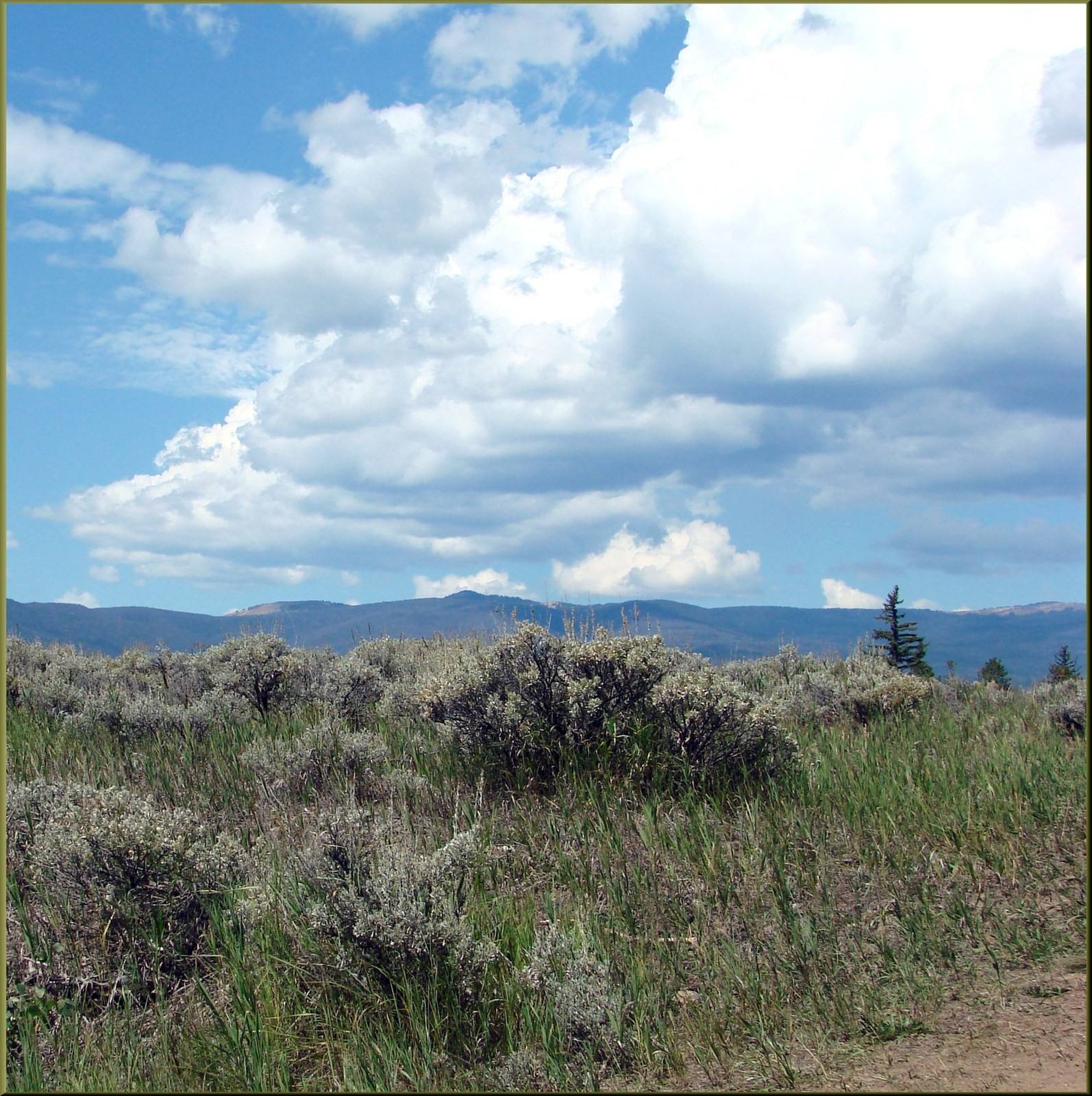 Summer clouds over a ridgeline along the Adams Falls Trail. Illustrative photo.