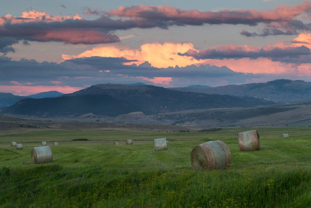 Hay bales in a Nottingham Ranch hayfield at dusk. The ranch supports about 1,200 cow-calf pairs and more than 3,000 acres of irrigated hayfield, according to Eagle County project documents.