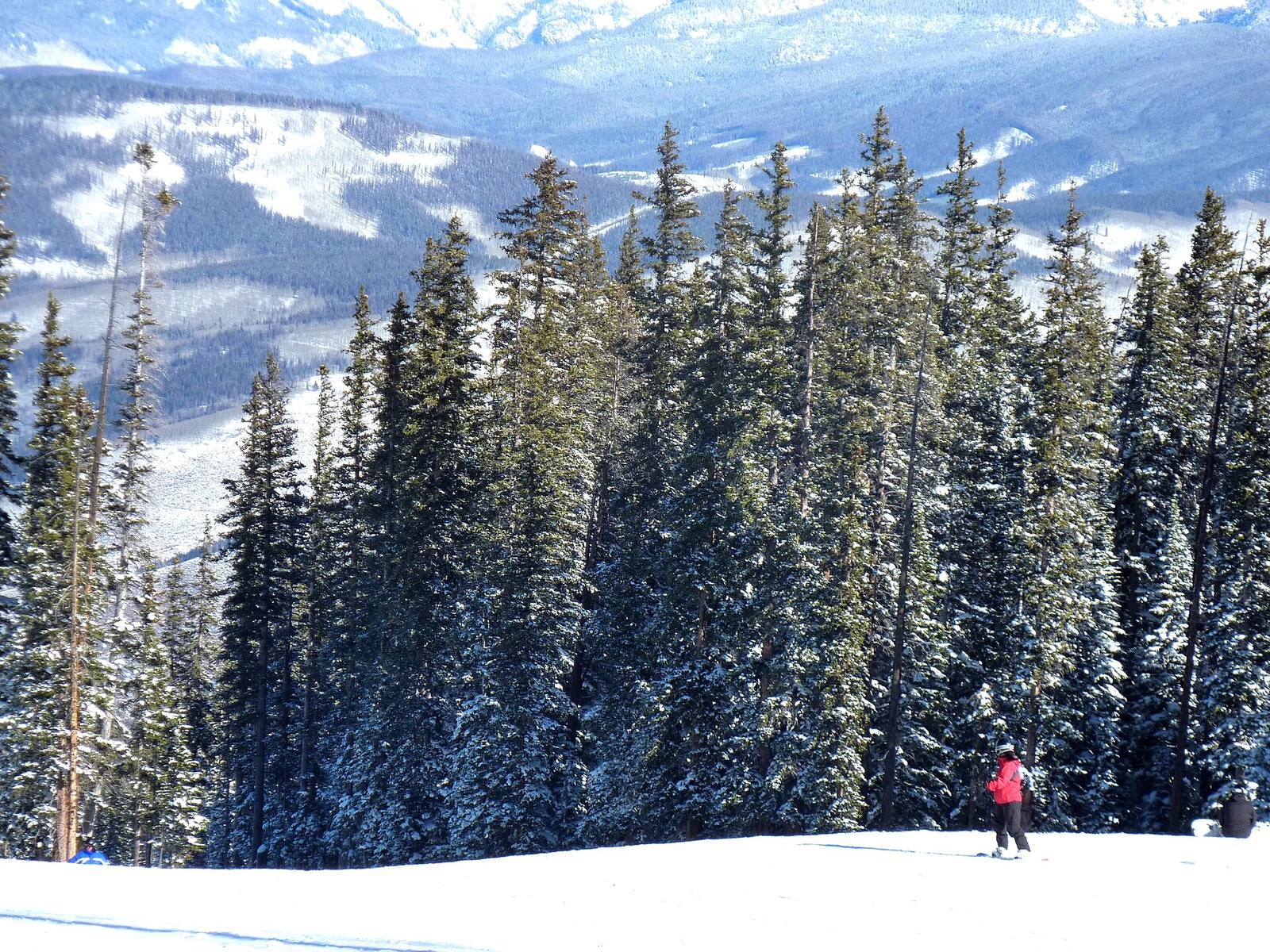 A snowboarder pauses at the tree line on a trail at Beaver Creek Resort, Vail Resorts' other Eagle County mountain. Oasis says guest experience at resorts like these should be a boardroom priority, a claim the company answers with its own Epic Experience strategy.