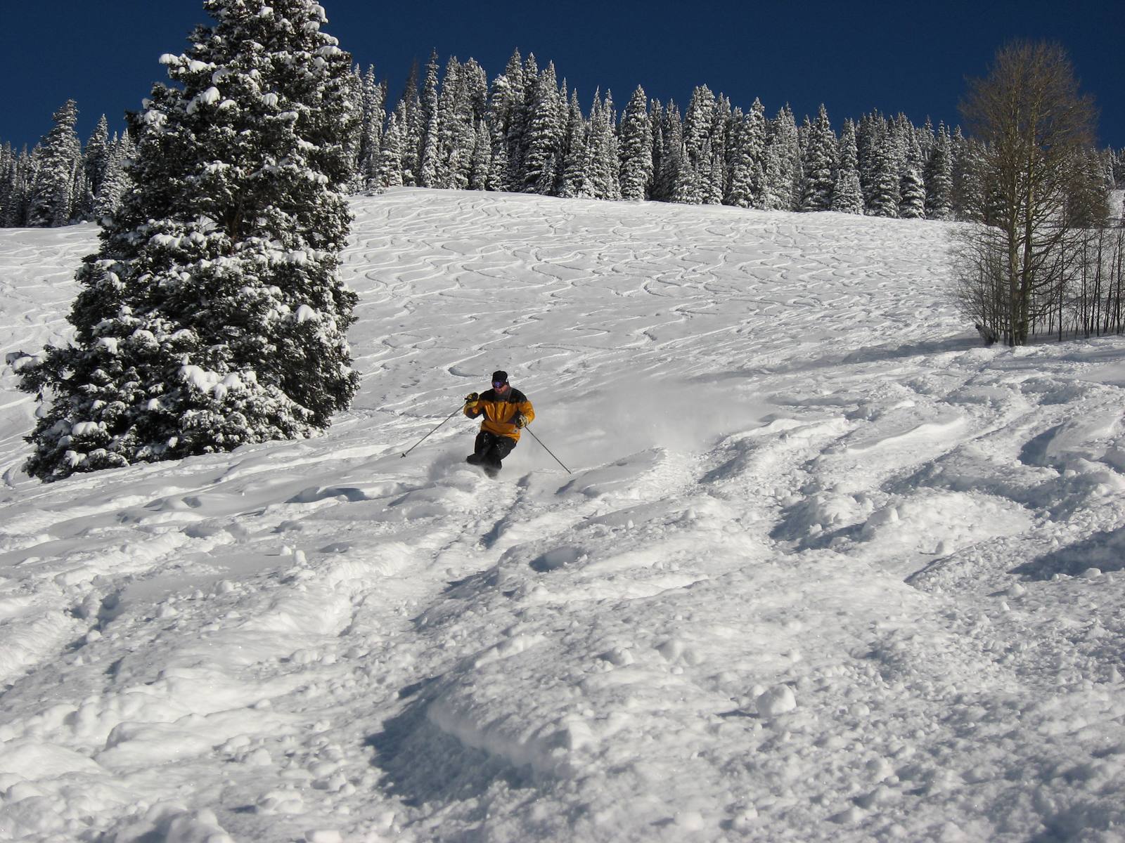A skier in powder on Vail Mountain, in a file photograph. Vail Mountain and Beaver Creek are the two Eagle County resorts operated by Vail Resorts, whose board is now the subject of competing proxy statements.