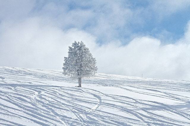 A powder day on Vail Mountain. The company reported fiscal 2026 net income of $147.5 million, down from $280 million the prior year, after a historically weak winter in the West.